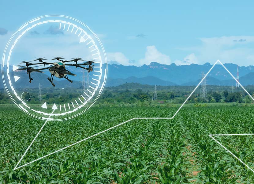 yield monitoring